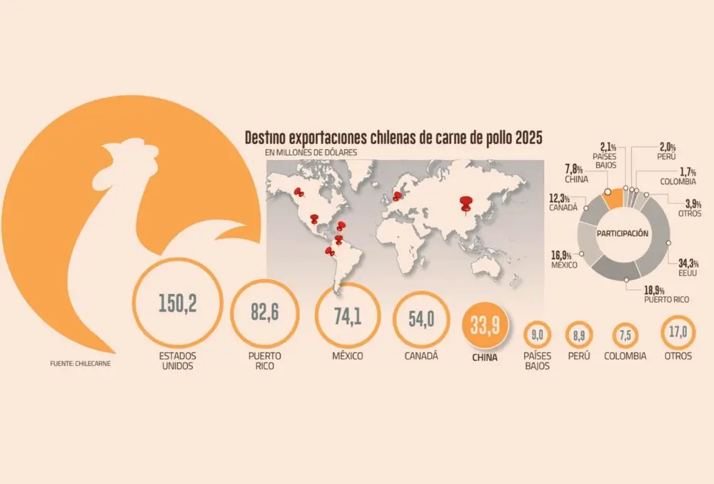 SAG descarta haber recibido nueva notificación de China por exportaciones avícolas ante brote de influenza aviar